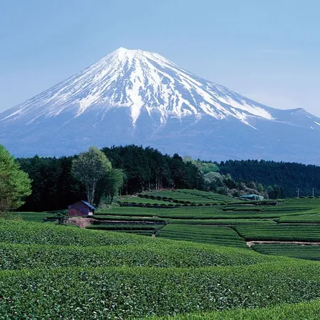 Mount Fuji