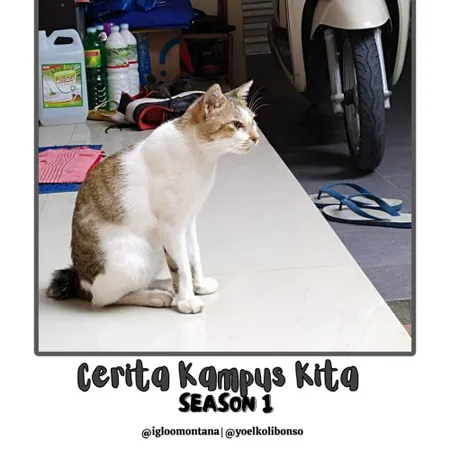 Cerita Kampus Kita #3 | Dunia Magang