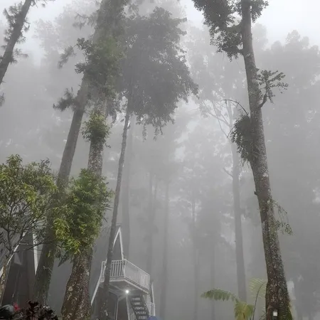 Menjalani hubungan dengan pasangan baik 