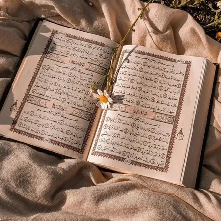 Qur'an Vibes