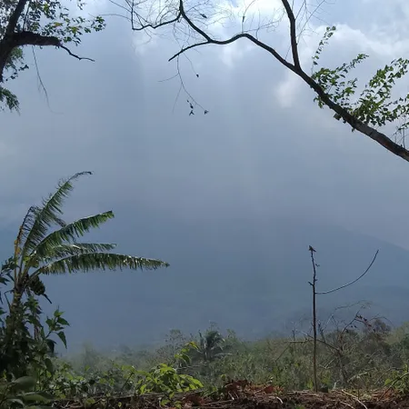 Kita semua sedang belajar untuk baik baik saja