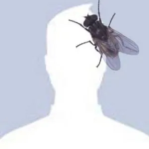 VeuID