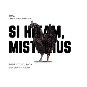 AYAM CEMANI