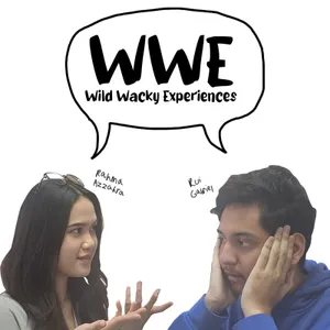 WWE (Wild Wacky Experience)