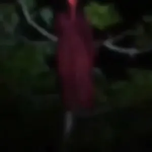 Di pegang hantu merah