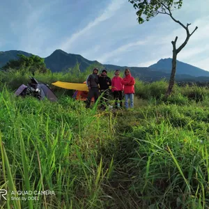 Tersesat dihutan