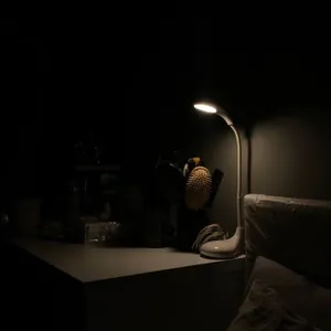Abibz24 