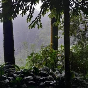 MonoLog