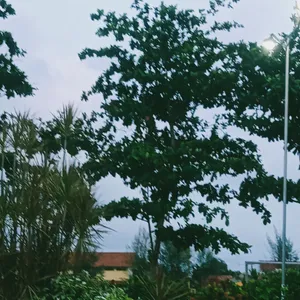 intro||ngobrol sedikit