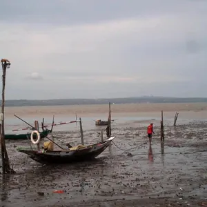 Castra