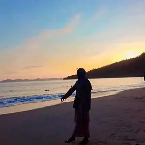 Dinarsarilingga