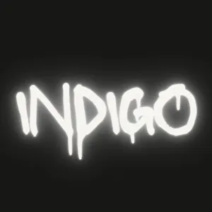 INDIGO MIND