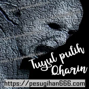 Mengungkap Misteri Pesugihan Tuyul Putih Qharin hasilkan 50 Juta Setiap Malam