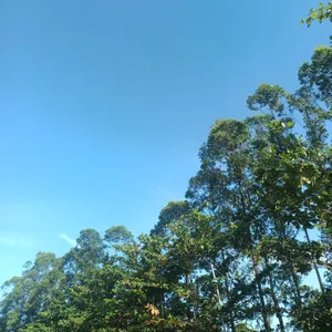 Belum berakhir tapi sudah dimulai 