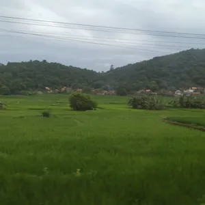 Pejuang LDR