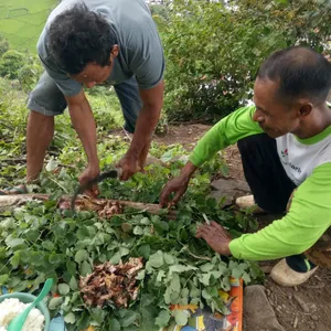 Video edukasi