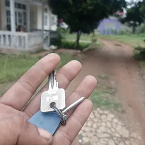 Edot ajah