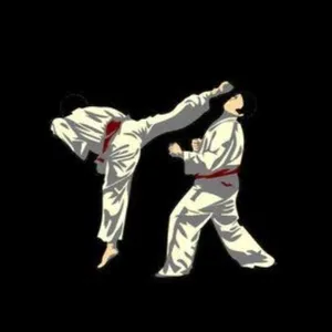 Latihan silat