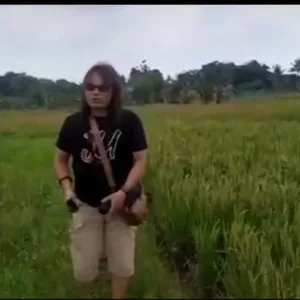 Keindahan Pesawahan 
