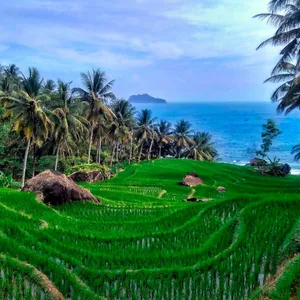 Jalan jlan pagi