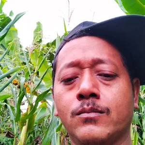 Kehidupan sehari hari