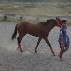 Ngopi karo ngaji