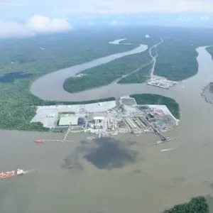 Freeport dan kehilangan Hutan Tropis