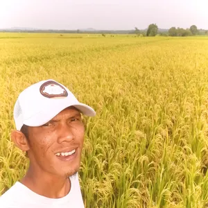 Ngonten 