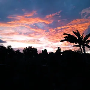 Karya Hati
