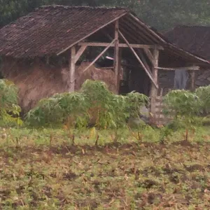 Kehidupan sehari hari 