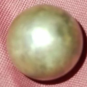 Stone hunting