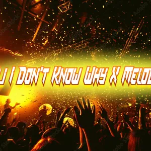DJ I Don't Know Why X Melody Kane Slowed 
