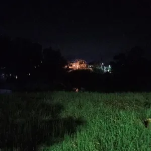 Indahnya pagi hari