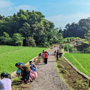Cerita dari desa