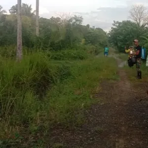 Keseharian di Desa