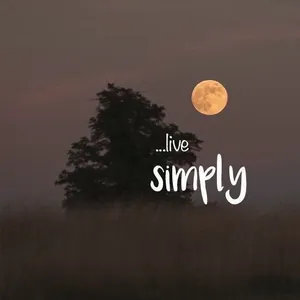 The story 