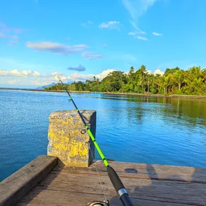 KONTEN MANCING