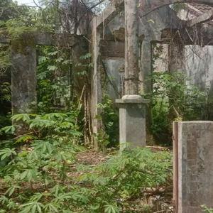 Survey Perumahan