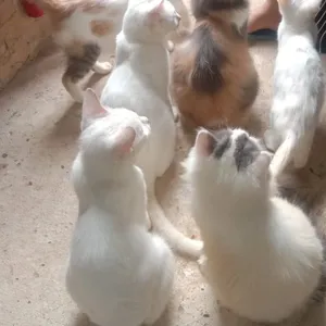 Random, apa saja kegiatan saya sehari-harinya 