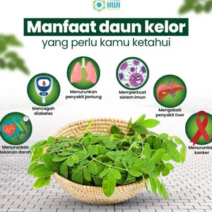 Sahabat Oliva "Classic Mulberry"