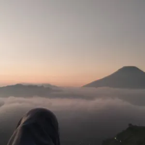 Berita