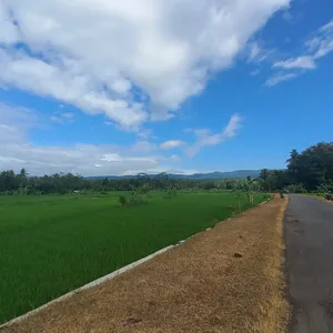Refreshing