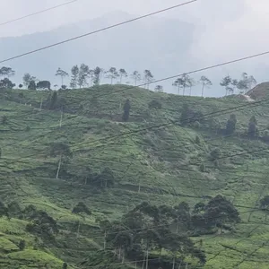 Berpetualang dengan alam