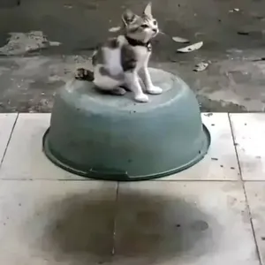 Ait.