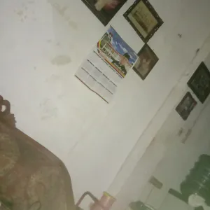 Suasana pagi hari