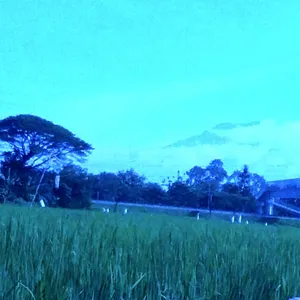 Konten random kehidupan sehari hari dan vlog perjalanan.makanan. hiburan .dan kegiatan
