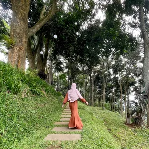 Jurnal Jalan Pulang