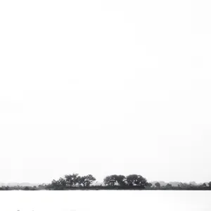 Bicara Koin