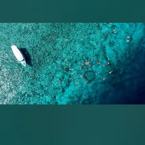 Cross Island 