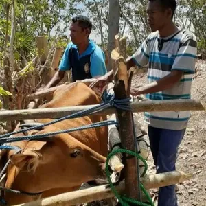Konten keseharian